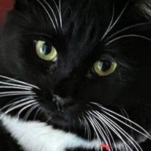 Meet your Posher, Edith